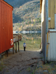 DSCF0187.JPG